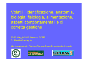Intervento Dott. D. Guadagnini