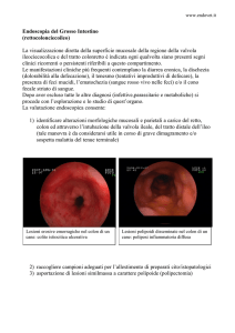 ENDOSCOPIA DEL GROSSO INTESTINO.ENDOVET