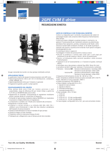2GPe cVM e-drive - EBARA Pumps Europe SpA