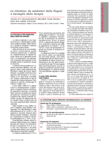 Le citochine: da mediatori della flogosi a bersaglio della terapia