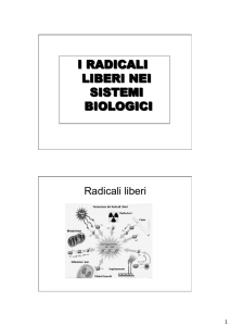 3UD8 Radicali Liberi File - Progetto e