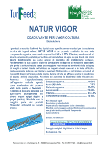 TF Natur Vigor (2016)