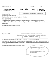 Esperienza n° 1 : MATERIALE OCCORRENTE
