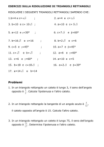 ESERCIZI SULLA RISOLUZIONE DI TRIANGOLI RETTANGOLI
