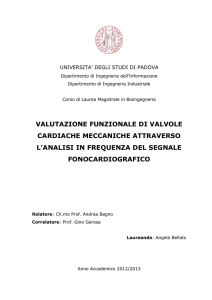 VALUTAZIONE FUNZIONALE DI VALVOLE CARDIACHE