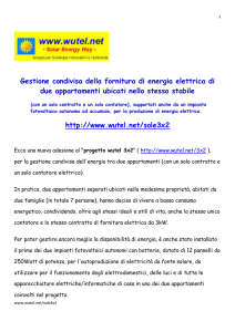 Gestione condivisa della fornitura di energia elettrica di
