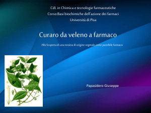 Diapositiva 1