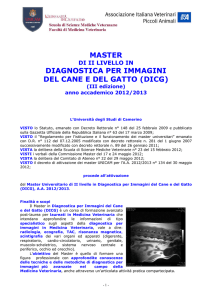 Bando DICG 2012 -2013 definitivo