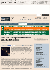 Fiordalisi - Sosta Palmizi
