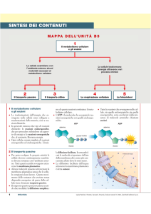 B5 - Zanichelli online per la scuola