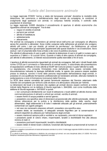 Tutela del benessere animale - Città Metropolitana di Bologna