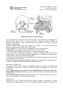 Chirurgia dei seni paranasali