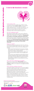 I reni e la funzione renale