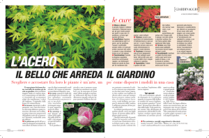 IL BELLO CHE ARREDA IL GIARDINO