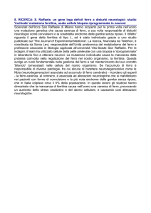 8. RICERCA: S. Raffaele, un gene lega deficit ferro a disturbi