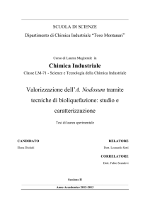 - AMS Tesi di Laurea