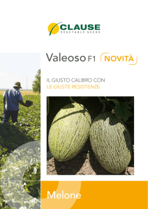 ValeosoF1 - HM Clause