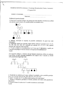rl2, rrr2, II[4,`lII5, 1116, III7, indicando gli aplotipi di
