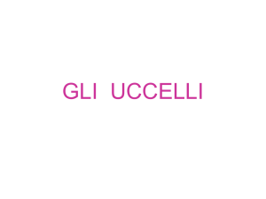 GLI UCCELLI
