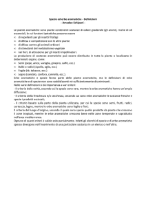 Spezie ed erbe aromatiche - Definizioni - Amedeo Schipani