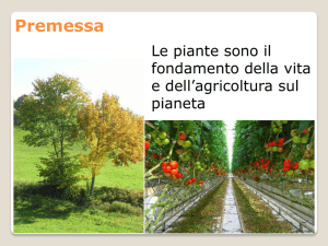 AmenduniPAS 13-14 lezione 1