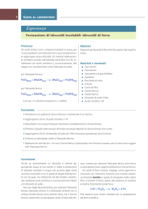 Formazione di idrossidi insolubili: idrossidi di ferro