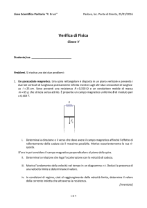 testo - Istituto Romano Bruni
