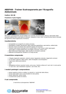 ABDFAN - Trainer Ecotrasparente per l`Ecografia Addominale