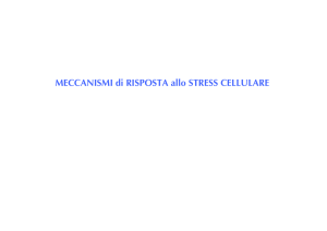 Selezione delle diapositive della lezione sulla risposta cellulare allo