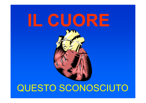 Apparato circolatorio