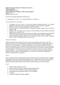 • Conoscere i tipi di abitazioni nei paesi di lingua spagnola