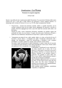Visualizzazione - La Rosa