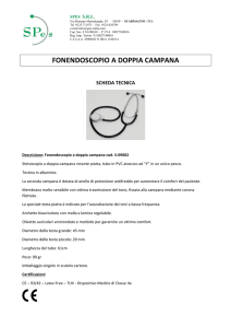 scheda tecnica