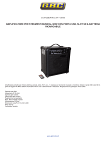 amplificatore per strumenti musicali 20w con porta usb, slot