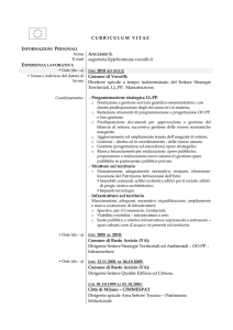 CURRICULUM VITAE E-mail