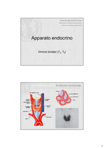 Tiroide