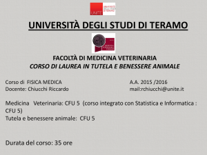 Presentazione standard di PowerPoint - Progetto e