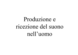 Produzione e ricezione del suono nell`uomo