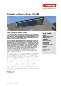 Palazzetto multifunzionale con effetto 3D - Adler