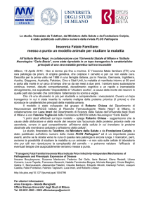 Comunicato Stampa