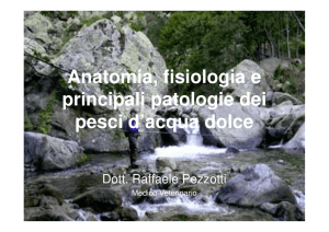 Anatomia e fisiologia