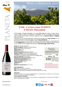 nerello mascalese ascalese