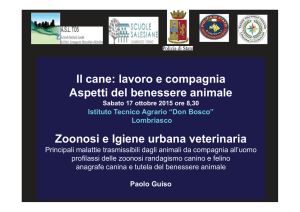 Presentazione Paolo Guiso