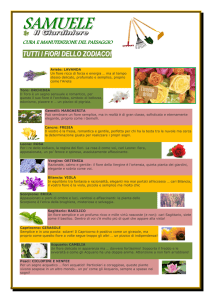 i_fiori_dello_zodiaco - SAMUELE Il Giardiniere