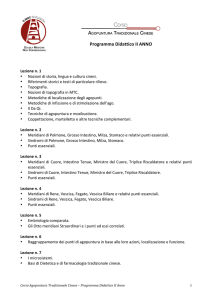 Programma Didattico II anno