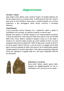 Soppravivenza