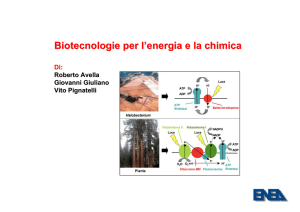 Presentazione di PowerPoint - ENEA