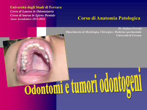 Nessun titolo diapositiva