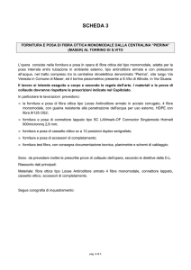 scheda 3 - Consorzio di Bonifica Piave