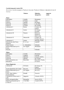 Carichi integrativi settori FIS (In corsivo i carichi assegnati a